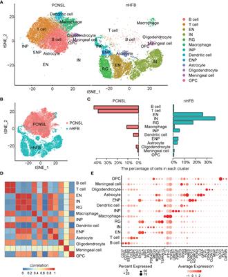 Analysis of Cellular Heterogeneity in Immune Microenvironment of Primary Central Nervous System Lymphoma by Single-Cell Sequencing